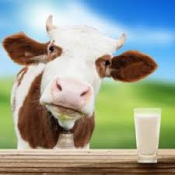 Mẹo cực hay: Chỉ cần d&ugrave;ng m&oacute;ng tay cũng gi&uacute;p ph&acirc;n biệt sữa c&ograve;n uống được hay đ&atilde; bị hỏng