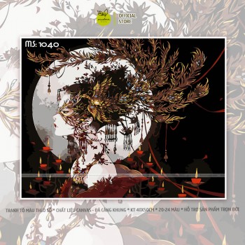 Tranh t&ocirc; m&agrave;u theo số C&ocirc; g&aacute;i Trung Hoa phượng ho&agrave;ng T1040