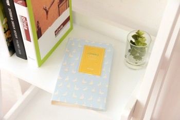Album mini những ch&uacute; vịt xanh 01