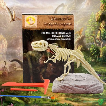 Bộ khảo cổ 2