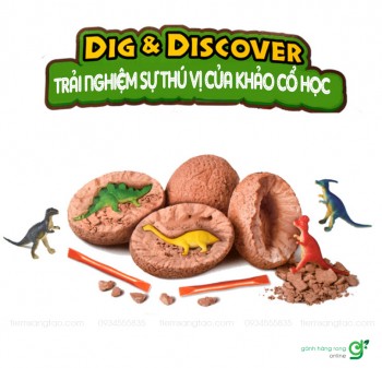 Bộ khảo cổ trứng khủng long