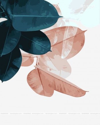 L&aacute; C&acirc;y 1