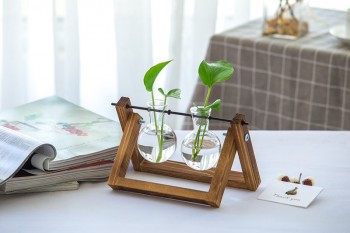 Lọ c&acirc;y để b&agrave;n đ&ocirc;i gỗ n&acirc;u