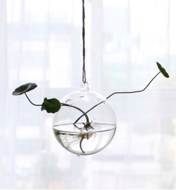 Lọ c&acirc;y treo thủy tinh h&igrave;nh cầu