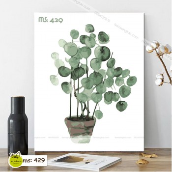 Chậu C&acirc;y Xanh T429