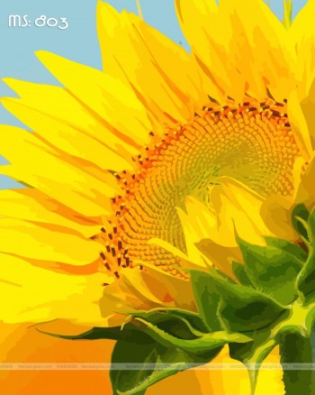 Tranh t&ocirc; m&agrave;u theo số hoa hướng dương T803