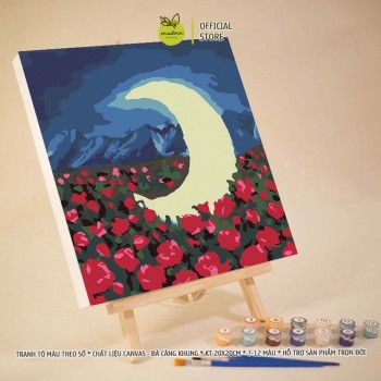 Tranh tô màu số hóa 20x20cm có khung mặt trăng TE A14-30
